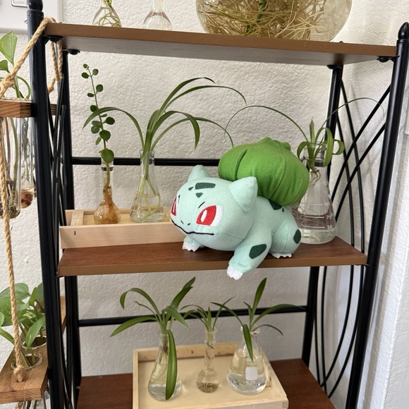 Pokémon Bulbasaur Plush 8" 2022 Starter Pokemon Stuffed Plushie Nintendo Green - Picture 1 of 8